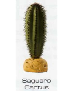 CACTUS SAGUARO - PLANTAS DEL DESIERTO