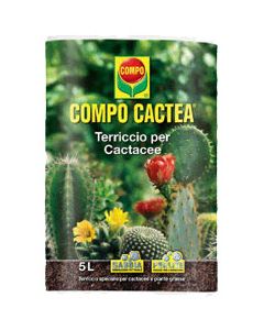 Tierra de compost para cactus