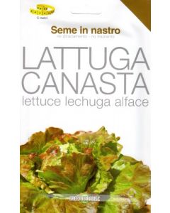 lechuga-canasta-en-una-cinta