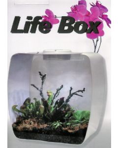 LIFE BOX BLANCO CON LUCES