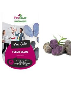 Patatas Fleur Bleu