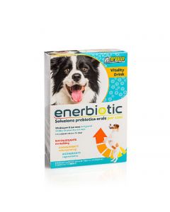 Enerbiotic perro