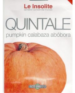 CALABAZA AMARILLA