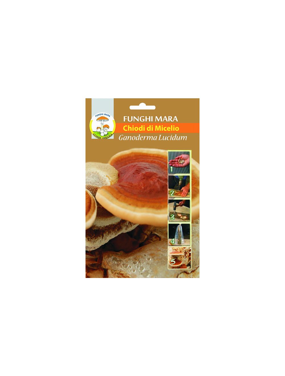 ganoderma lucidum uñas