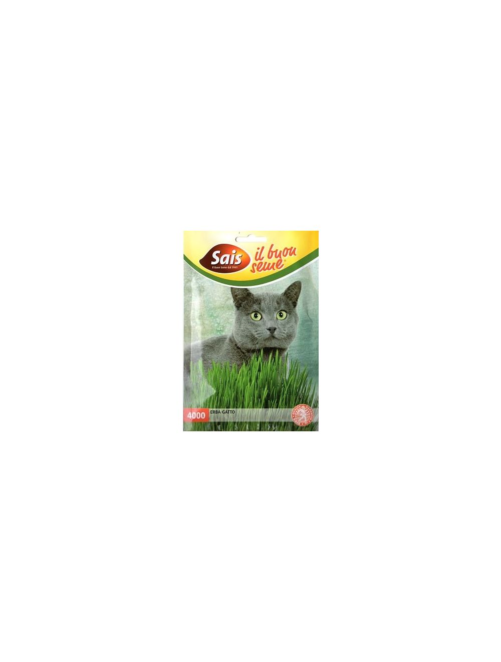 Cat_grass_from_seed